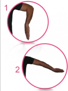 travail-musculaire-des-membres-superieurs-epaules-omoplates-et-triceps